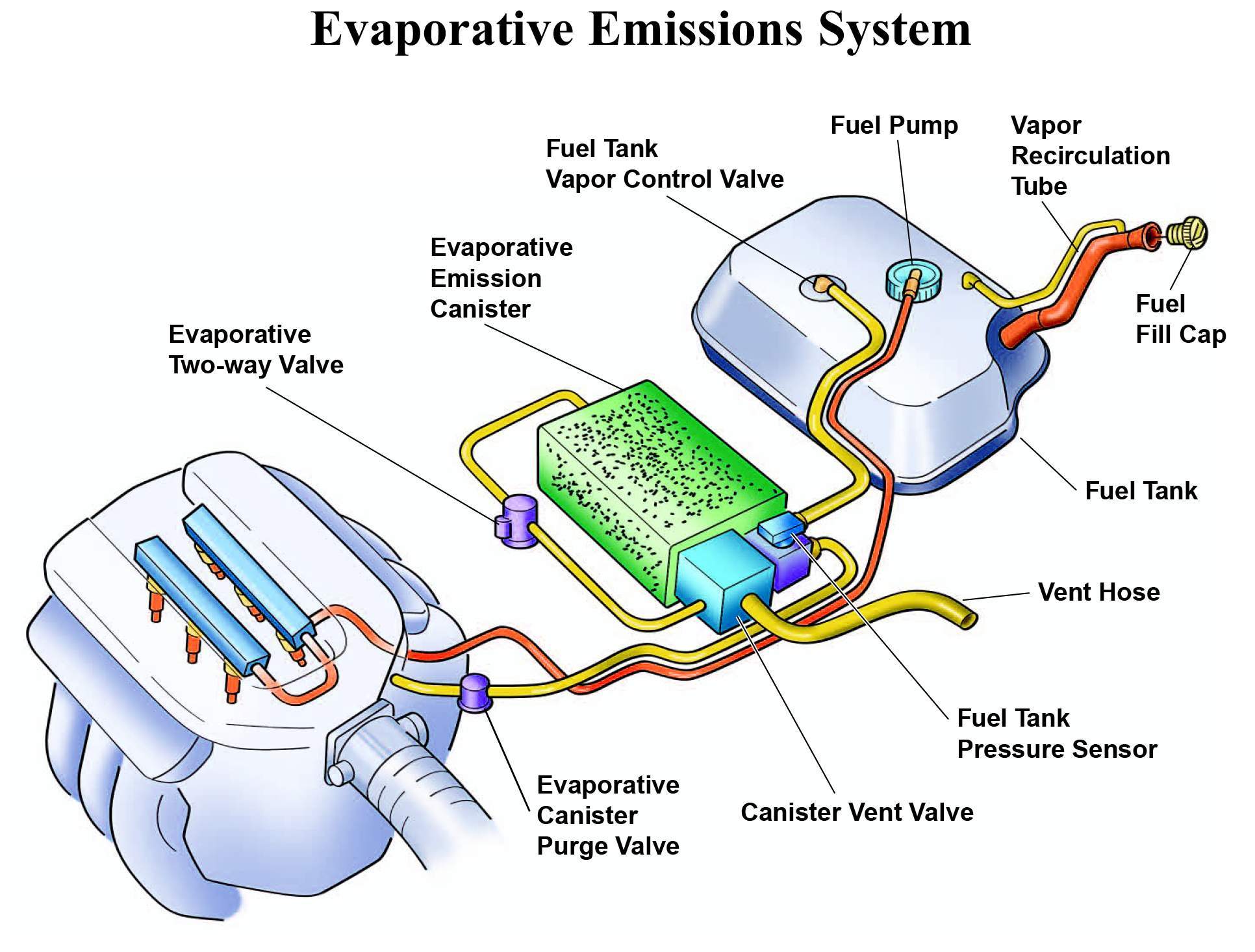  ECS Emission Control System 