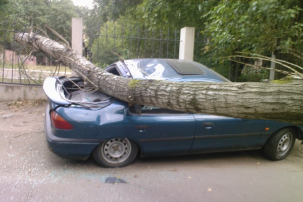 упало дерево на машину